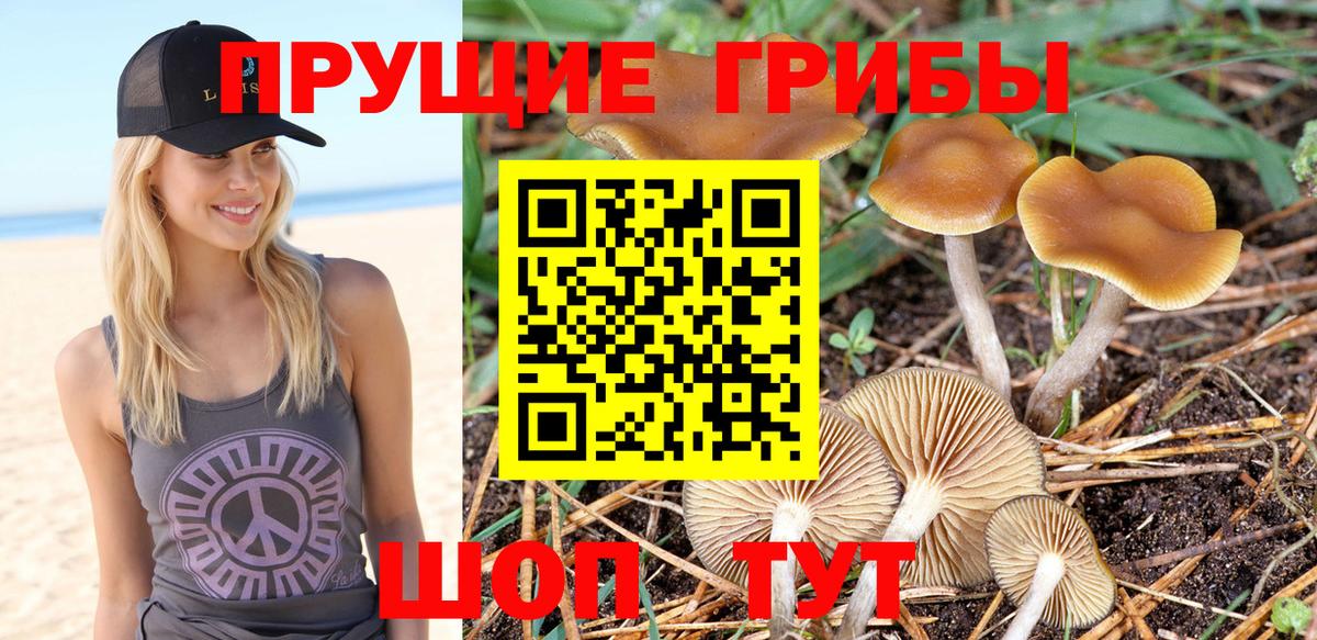 Стрежевой  Псилоцибиновые грибы GOLDEN TEACHER  Вход с VPN 